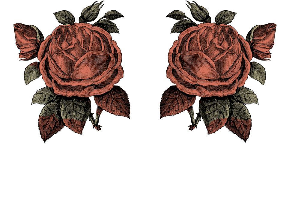 Large roses